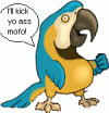 parrot4.gif