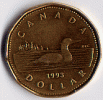 loonie.gif